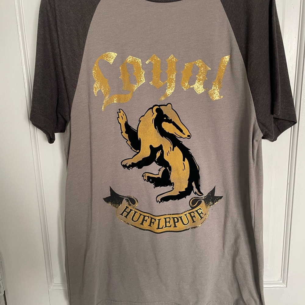 Warner Bros. Harry Potter Logo Tee - Gray & Teal